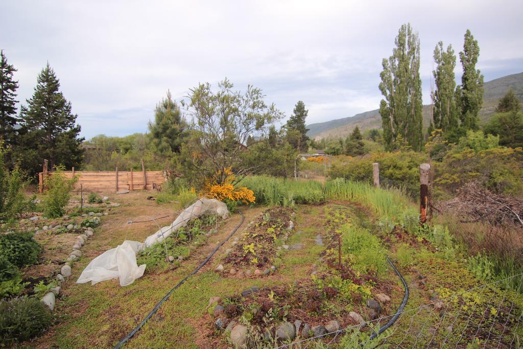 אל בולסון El Pueblito Ecohostel מראה חיצוני תמונה