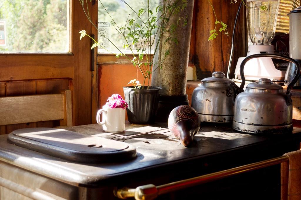 אל בולסון El Pueblito Ecohostel מראה חיצוני תמונה